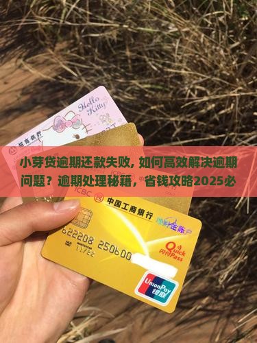 小芽贷逾期还款失败