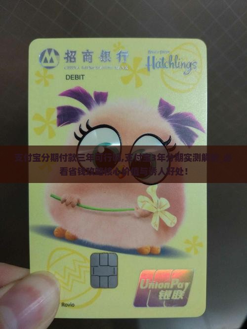 支付宝分期付款三年可行吗