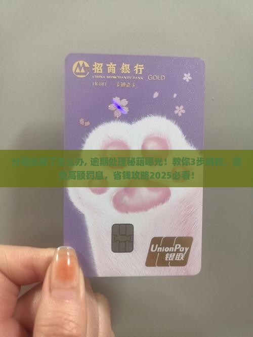 360借条分期逾期了怎么办