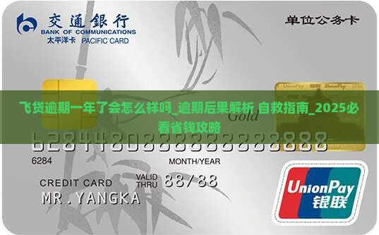 飞贷逾期一年了会怎么样吗解答