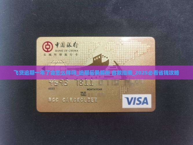 飞贷逾期一年了会怎么样吗解答