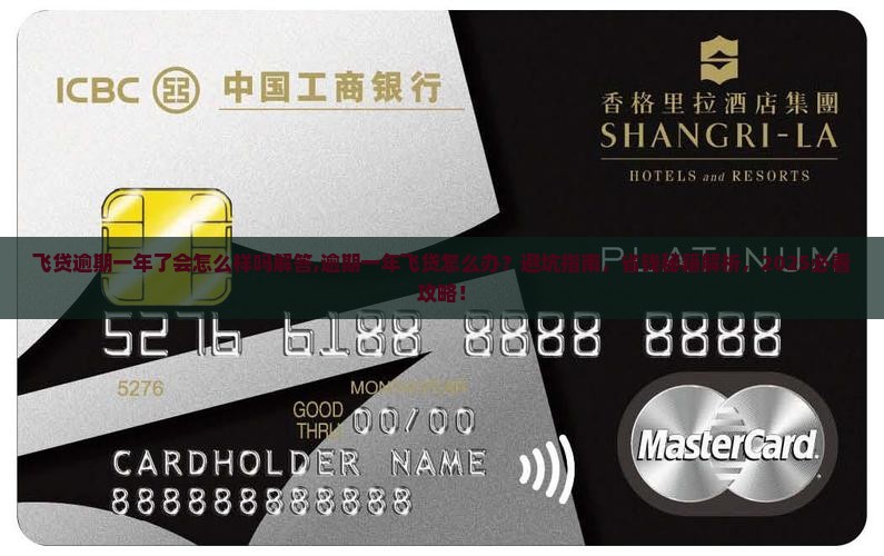飞贷逾期一年了会怎么样吗解答