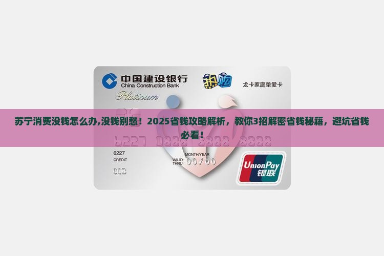 苏宁消费没钱怎么办