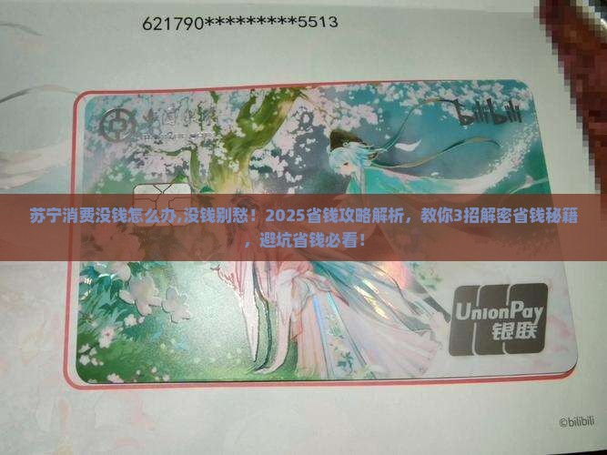 苏宁消费没钱怎么办