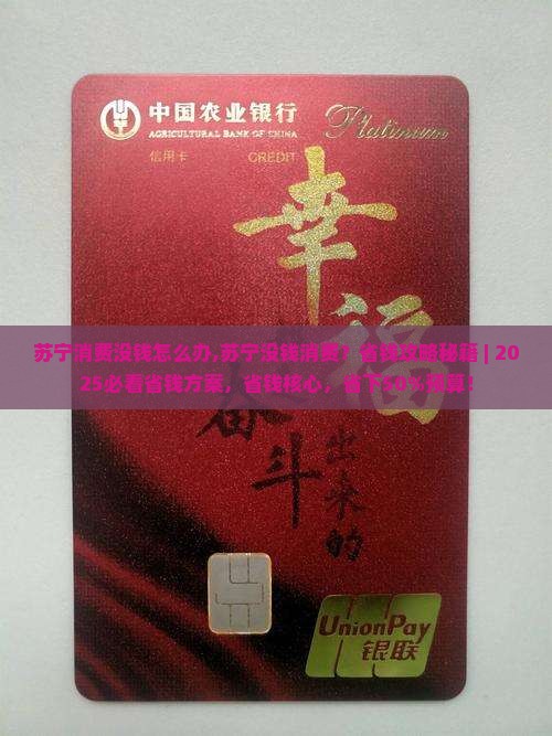 苏宁消费没钱怎么办
