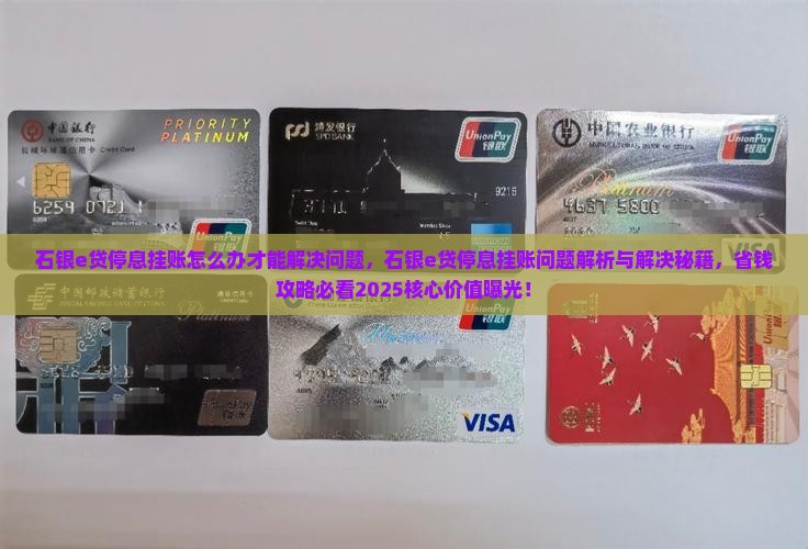 石银e贷停息挂账怎么办才能解决问题