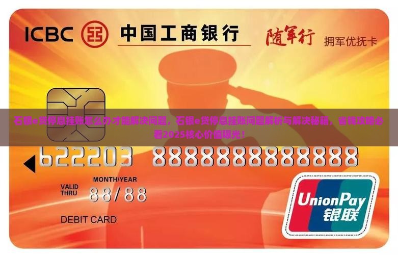石银e贷停息挂账怎么办才能解决问题