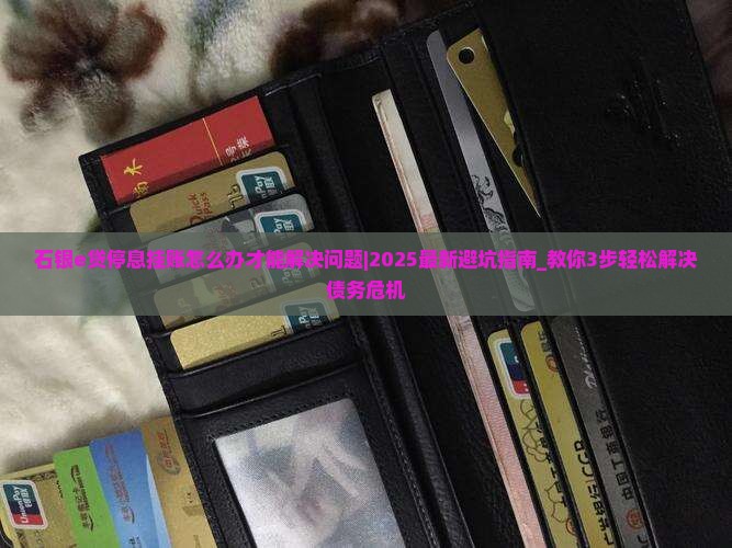 石银e贷停息挂账怎么办才能解决问题
