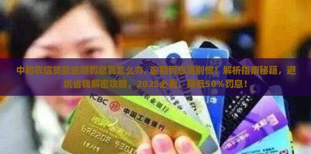 中和农信贷款逾期罚息高怎么办