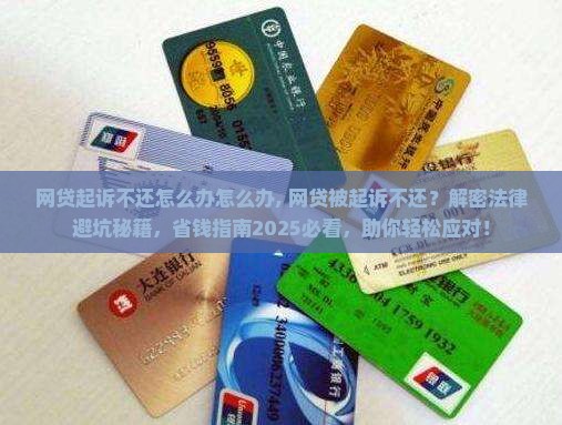 网贷起诉不还怎么办怎么办