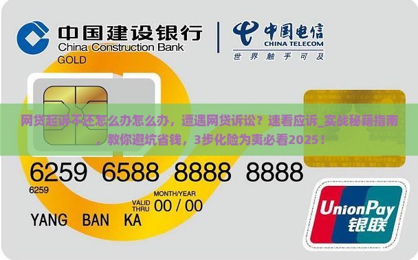 网贷起诉不还怎么办怎么办