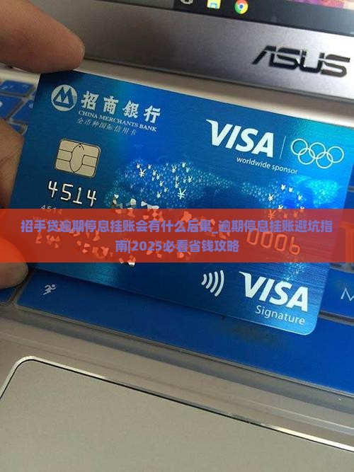 招手贷逾期停息挂账会有什么后果