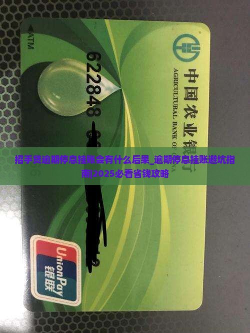 招手贷逾期停息挂账会有什么后果