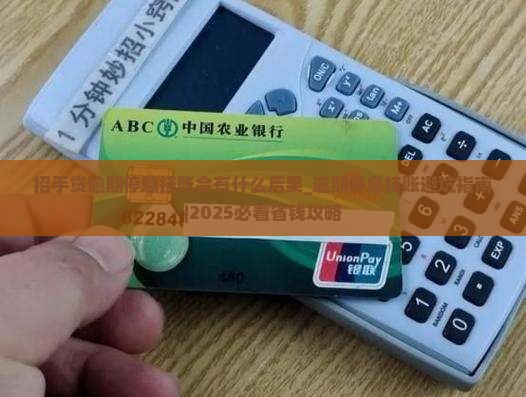 招手贷逾期停息挂账会有什么后果