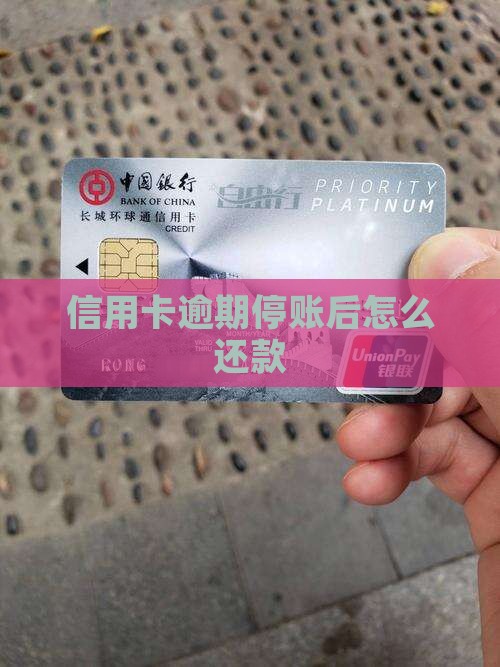 信用卡逾期停账后怎么还款