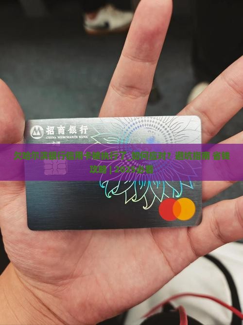 欠哈尔滨银行信用卡被法院执行了