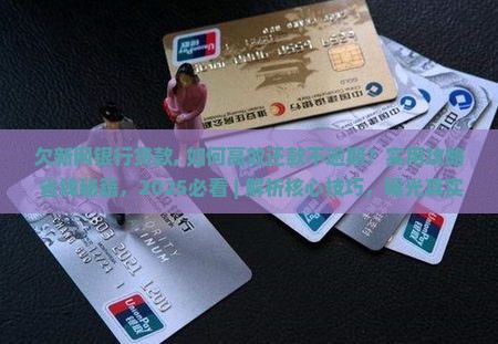 欠新网银行贷款