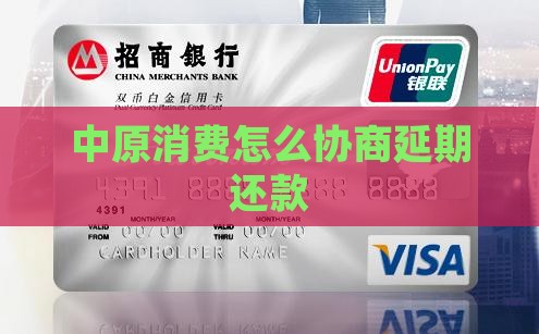 中原消费怎么协商延期还款
