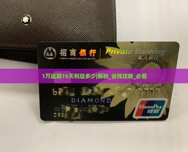 白条1万逾期10天利息多少