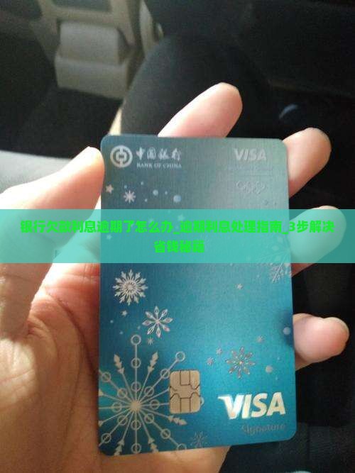 银行欠款利息逾期了怎么办