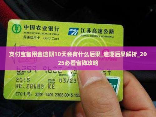 支付宝备用金逾期10天会有什么后果