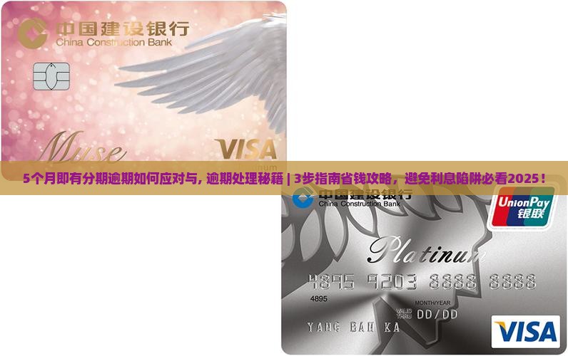 5个月即有分期逾期如何应对与