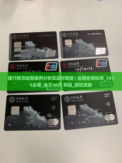 建行税贷逾期案例分析及应对策略