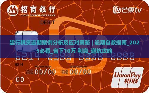 建行税贷逾期案例分析及应对策略