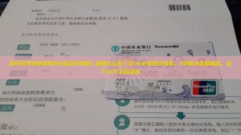 建行税贷逾期案例分析及应对策略