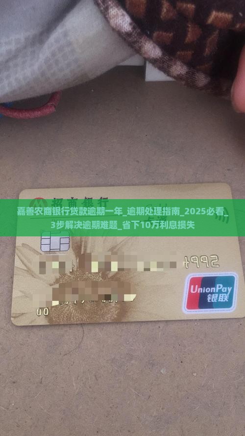 嘉善农商银行贷款逾期一年