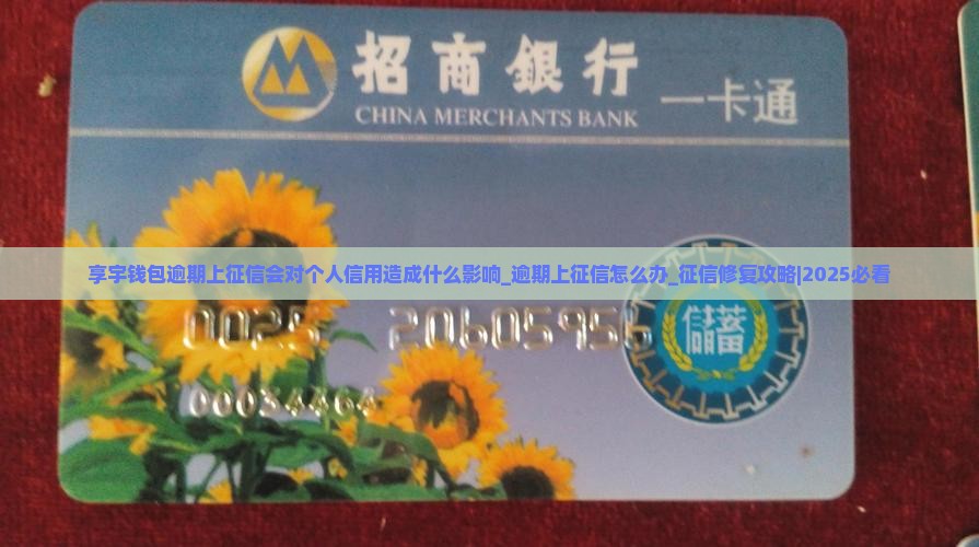 享宇钱包逾期上征信会对个人信用造成什么影响