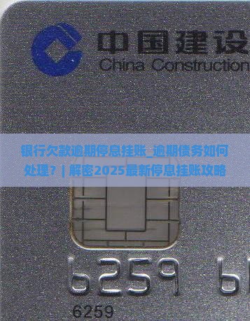 银行欠款逾期停息挂账