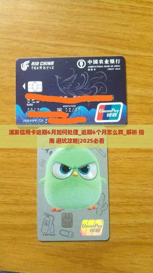 浦发信用卡逾期6月如何处理