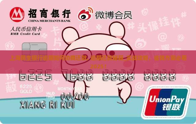 上海民生银行逾期如何协商还款