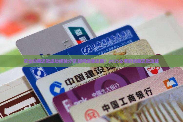农业协商还款成功经验分享