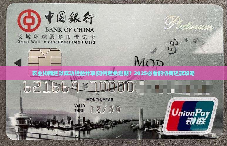 农业协商还款成功经验分享