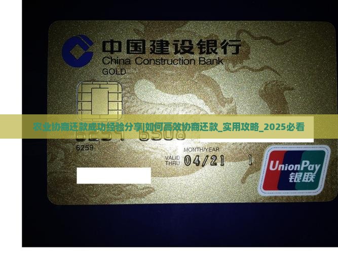农业协商还款成功经验分享