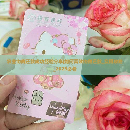 农业协商还款成功经验分享