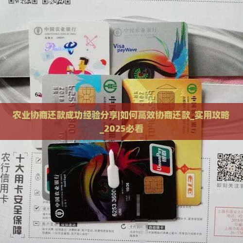 农业协商还款成功经验分享