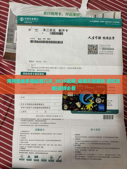 用钱包最多能逾期几天