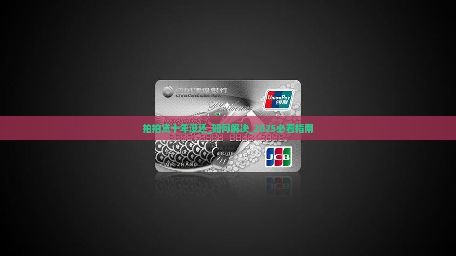 拍拍贷十年没还