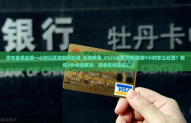 京东金条逾期一小时以还款如何处理