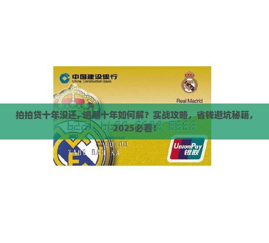 拍拍贷十年没还