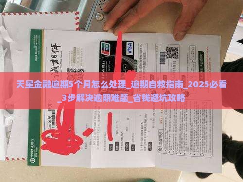 天星金融逾期5个月怎么处理