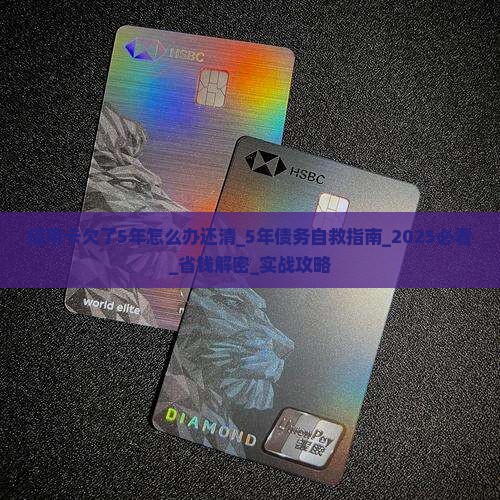 信用卡欠了5年怎么办还清