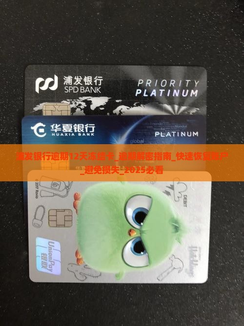 浦发银行逾期12天冻结卡怎么办