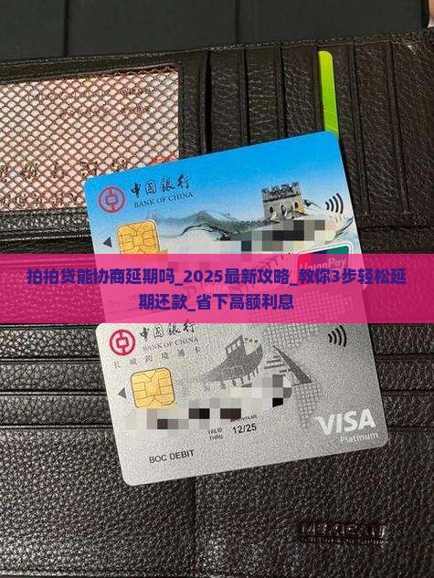 拍拍贷能协商延期吗