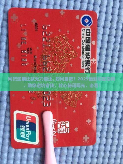 网贷逾期还款无力偿还