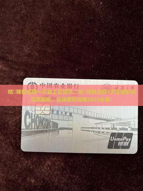 哈啰钱包逾期一天会上征信吗