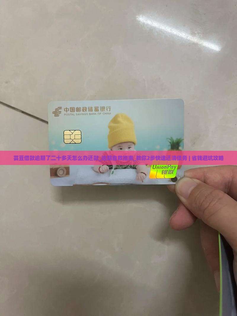 芸豆借款逾期了二十多天怎么办还款
